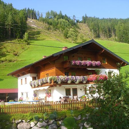 Apartmán Untersteinhof Forstau  Exteriér fotografie