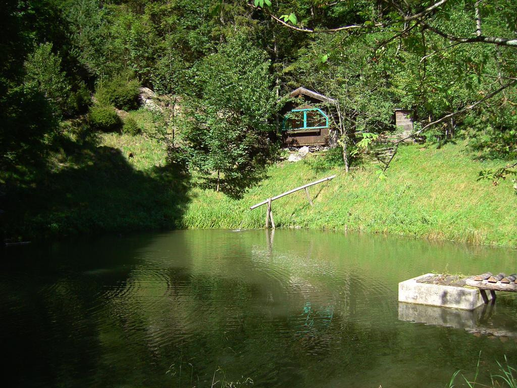 Apartmán Untersteinhof Forstau  Exteriér fotografie